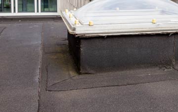 disadvantages of Edithmead flat roofs